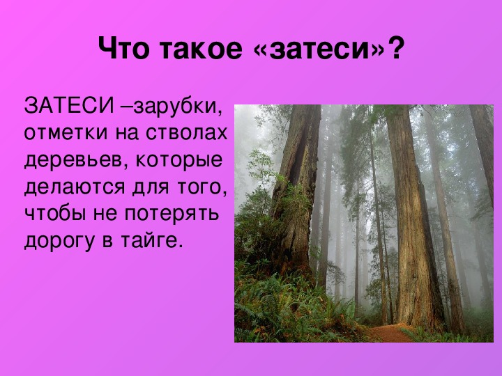 Технологическая карта урока литературы в 5 классе васюткино озеро