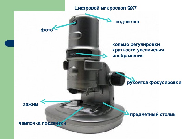 Презентация "Использование цифрового микроскопа в начальной школе и детском саду".