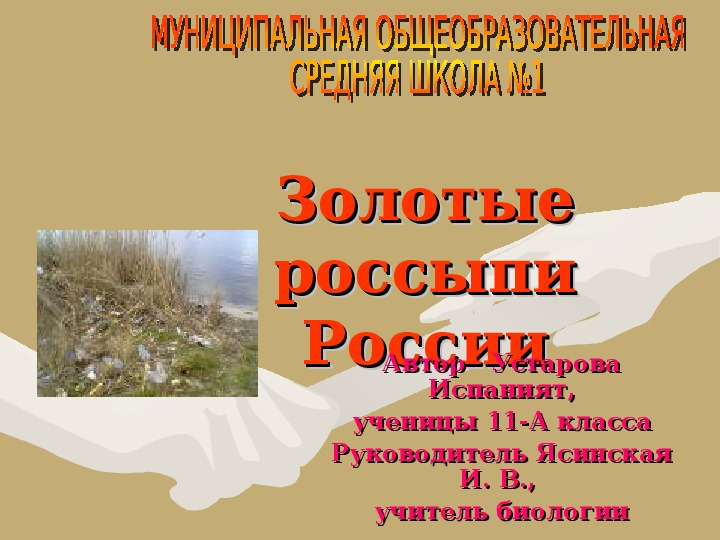 Обложка для материала Золотые россыпи России