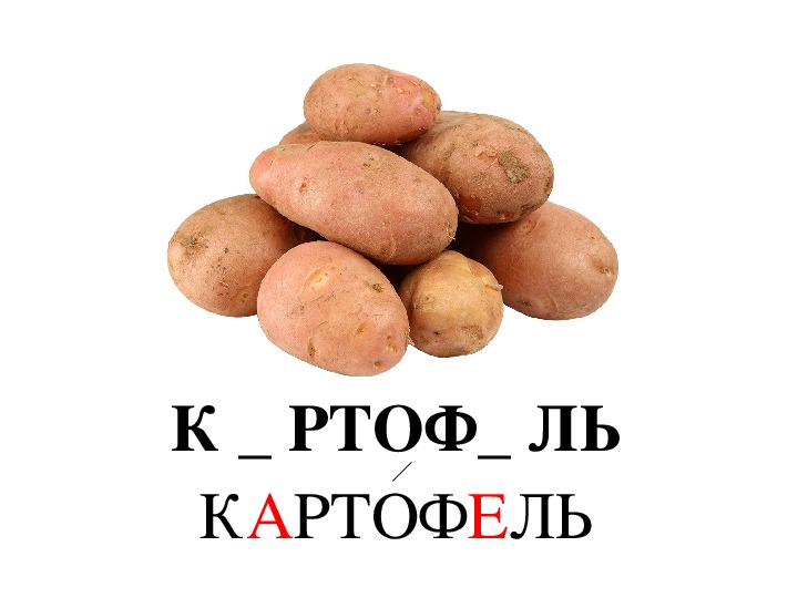 Однокоренные слова к слову картофель. Картофель словарное. Слово картофель. Словарное слово картофель в картинках. Словарная работа картофель.