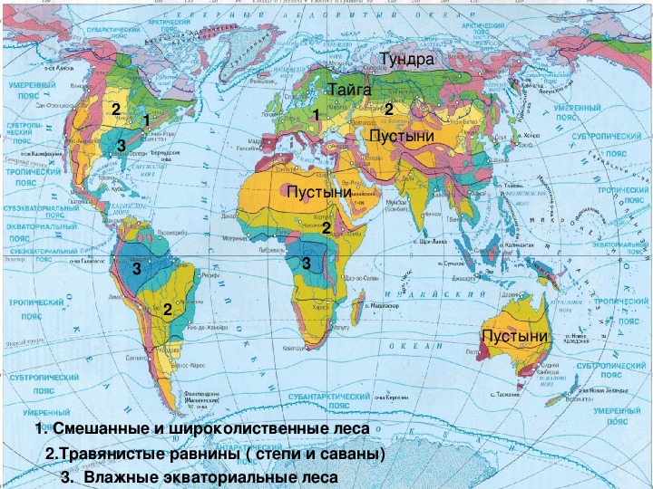 Материки и природные зоны на карте