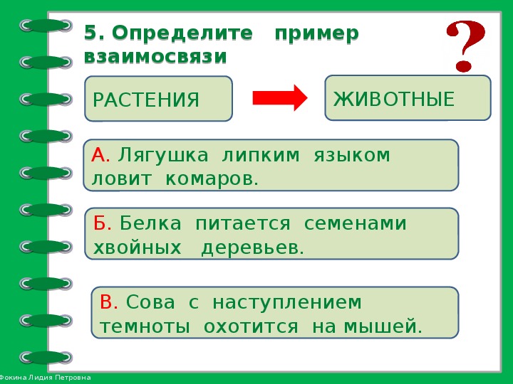 Невидимые нити 2 класс окружающий мир примеры схем