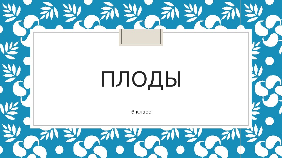 Презентация по теме "Плоды растений" (биология, 6 класс)