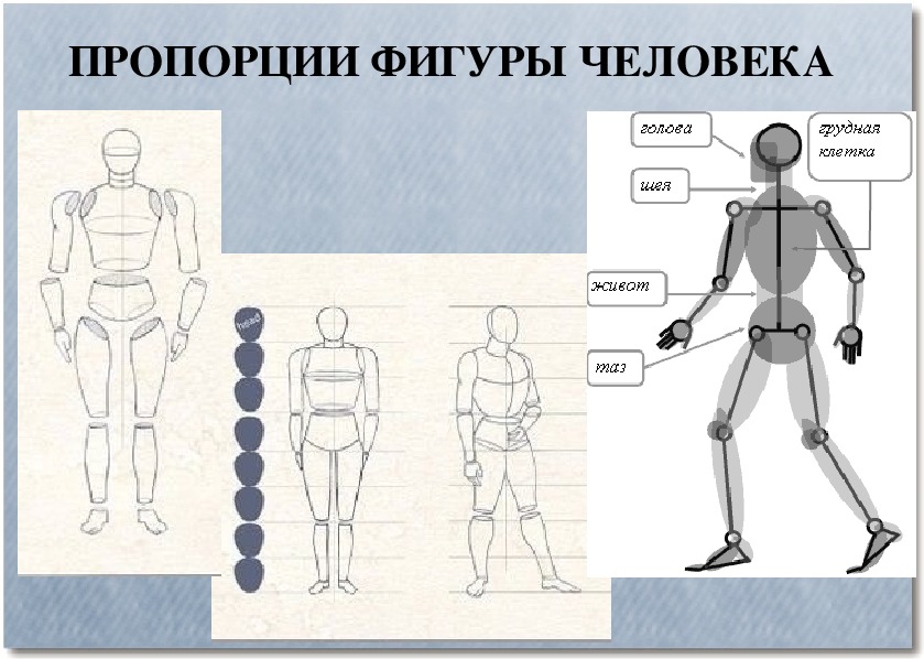 Рисование фигуры человека поэтапно презентация 4 класс