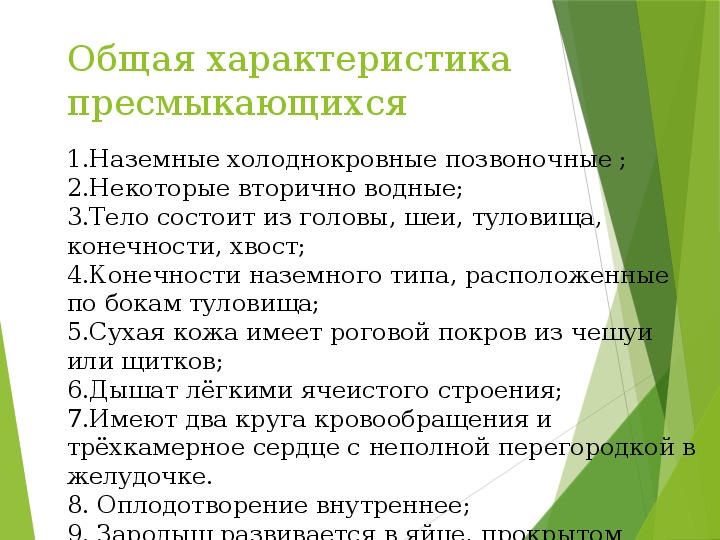 Общ 7 класс. Класс пресмыкающиеся основная характеристика. Общая характеристика рептилий 7 класс.