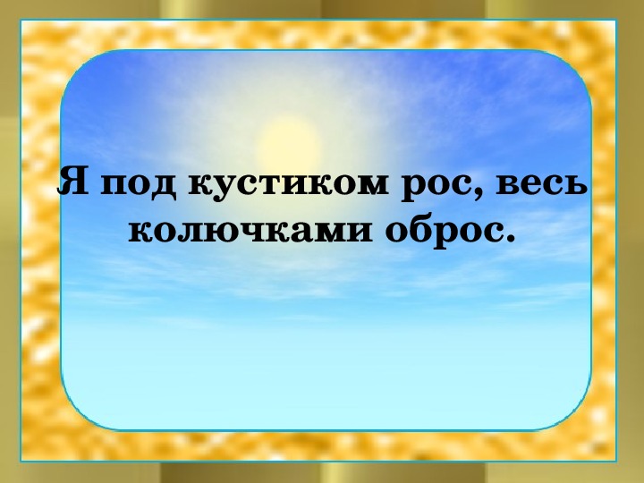 Обложка для материала Я под кустиком рос, весь колючками оброс