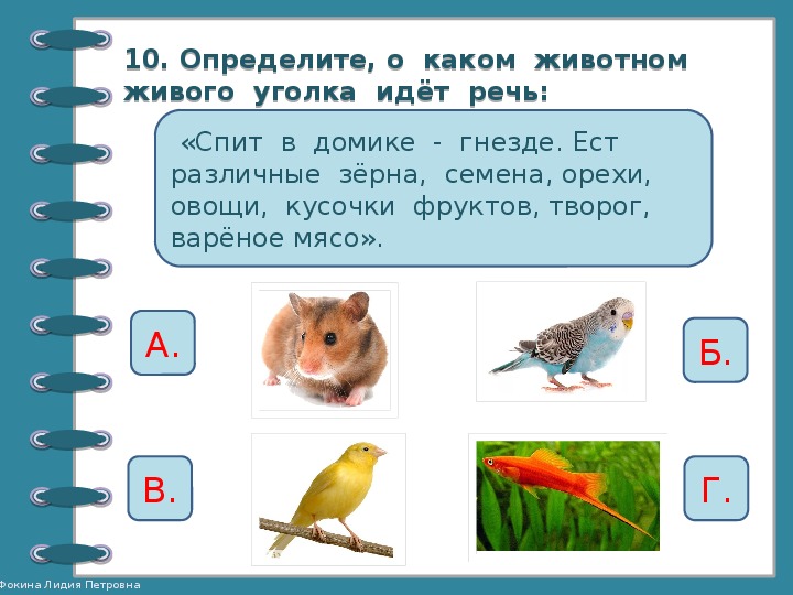 Презентация на тему живой уголок