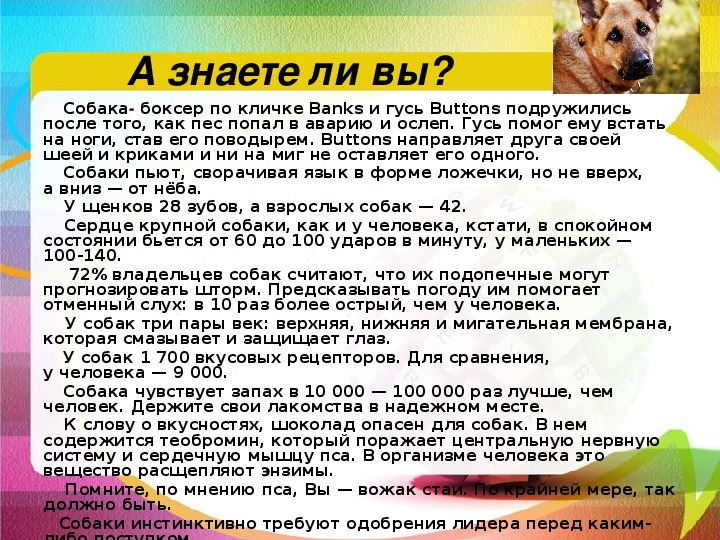 Описание собаки 5 класс русский язык. Описание собаки. Сочинение про собаку. Описание щенка сочинение. Сочинение про собаку 5 класс.