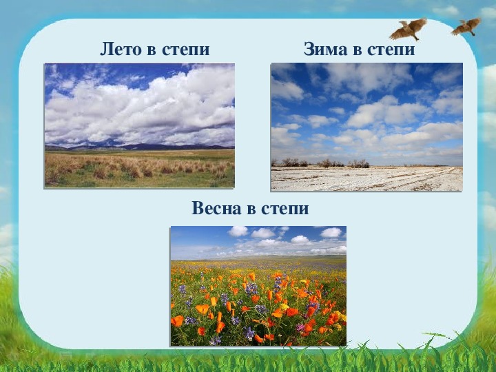 Какие природные зоны есть в степи. Климат Степной зоны России. Степь. Степь для детей. Зона степей.