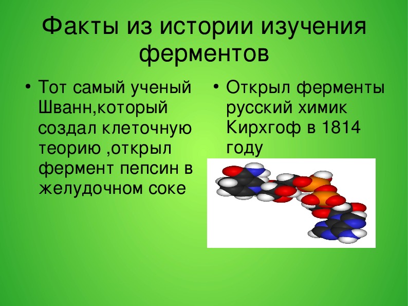 Проект ферменты заключение