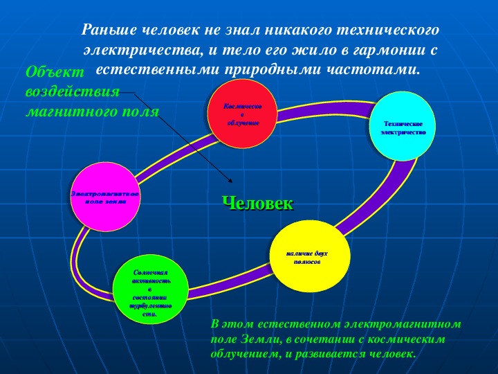 Влияние магнитного поля на живые организмы проект