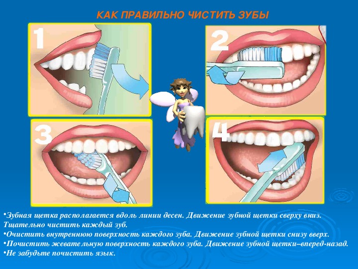 Проект зубы 3 класс