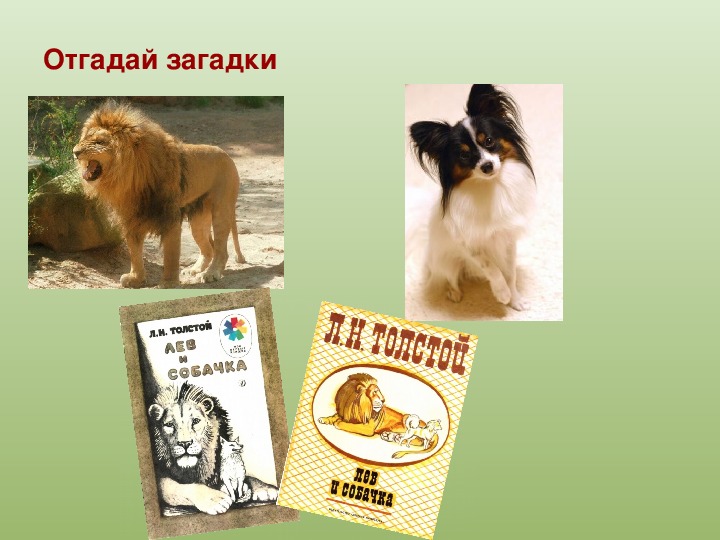 Презентация к уроку литературного чтения Л. Н. Толстой "Лев и собачка"