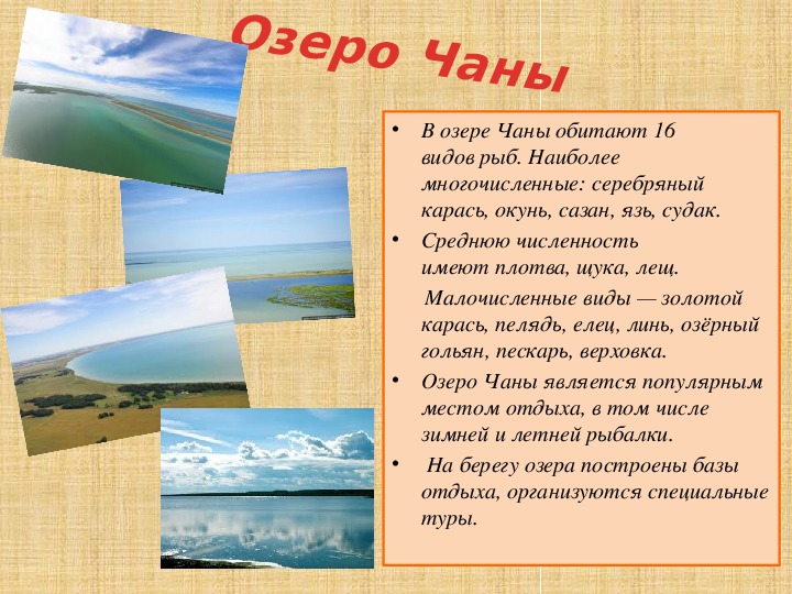 Где находятся чаны. Западная Сибирь озеро Чаны. Описание озера Чаны. Озеро Чаны Новосибирская. Озеро Чаны презентация.