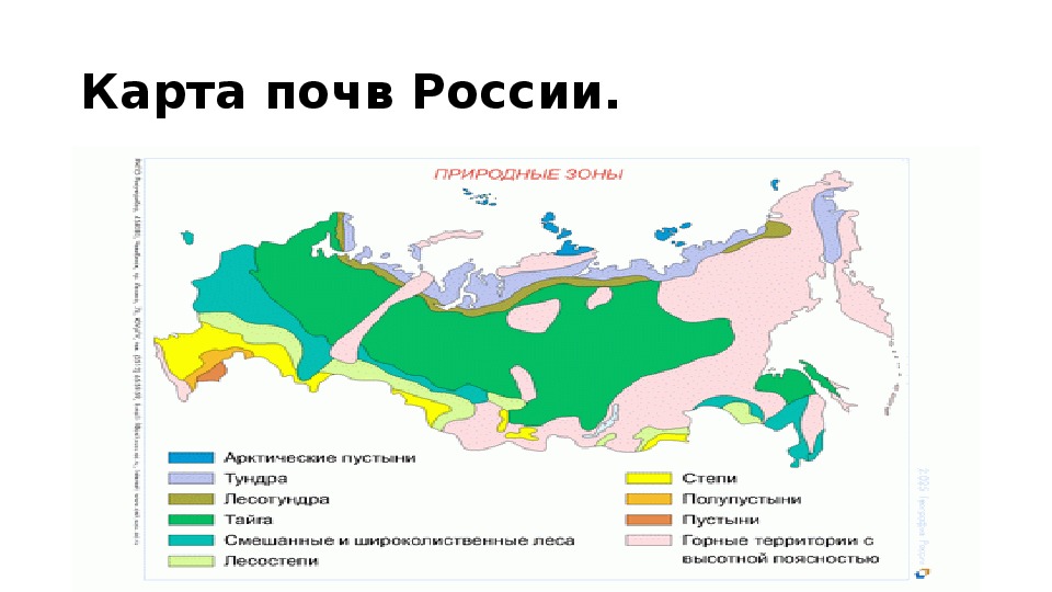 Карта почв россия