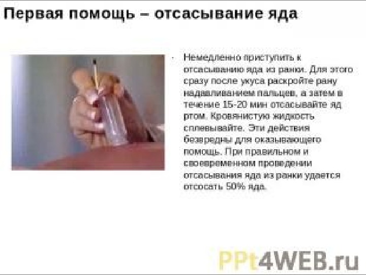 Оказание первой медицинской помощи при укусах змей и насекомых обж 6 класс презентация