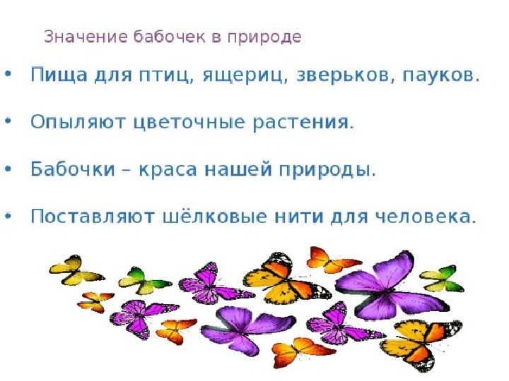 Что значат бабочки. Роль бабочек в природе. Бабочки и их роль в жизни человека. Значение бабочек в природе. Роль бабочек в природе и жизни человека.