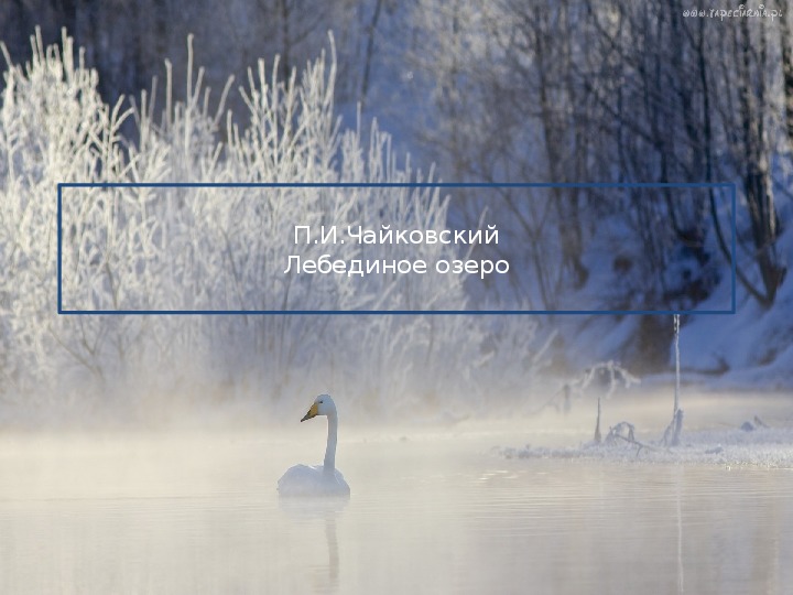 Презентация по музыке. Тема урока: П.И.Чайковский Лебединое озеро (4 класс).