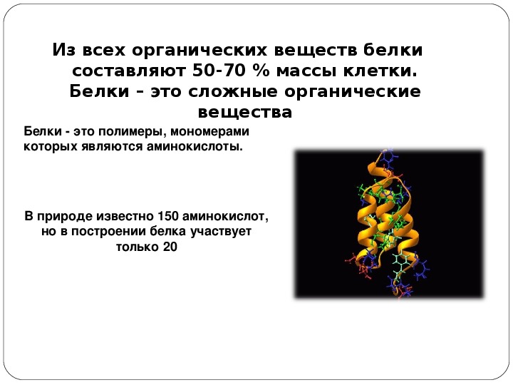 Белки и нуклеиновые кислоты презентация