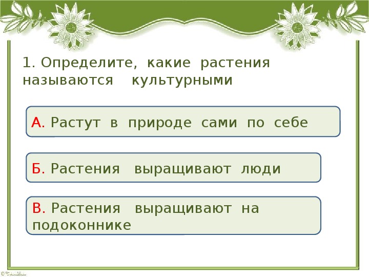 Презентация 2 класс дикорастущие и культурные растения. Задания по теме дикорастущие и культурные растения 2 класс.