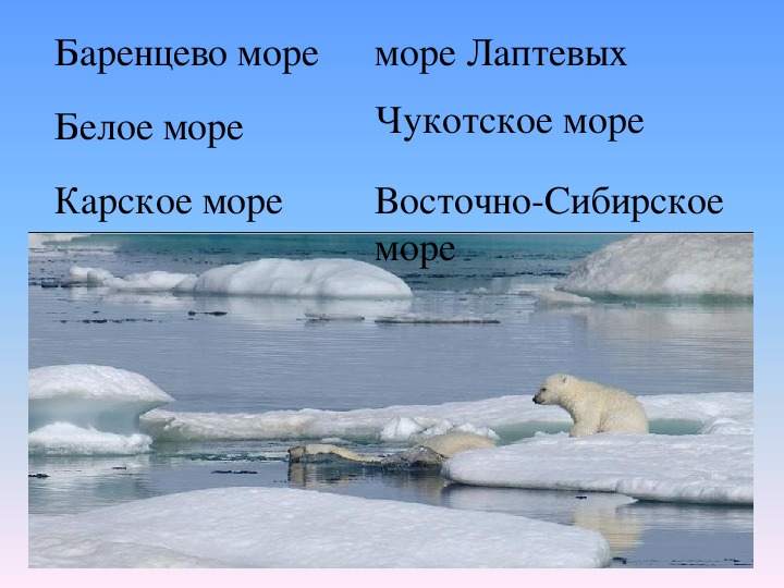 Проект сибирского моря