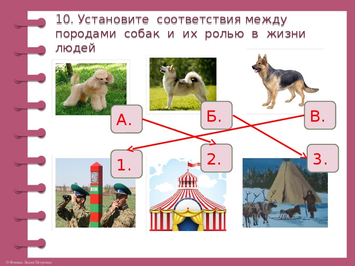 Окружающий мир про кошек и собак 2. Про кошек и собак 2 класс окружающий мир задания. Контрольная работа по собакам. Проверочная работа по окружающему миру 2 класс кошки и собаки. Проверочная работа про кошек и собак 2 класс школа России.