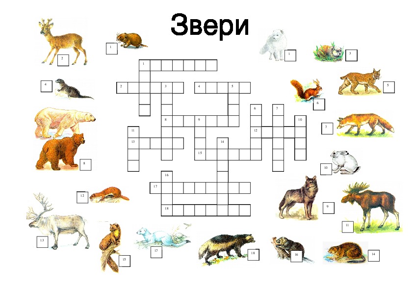 Урок по окружающему миру "Разнообразие животных Мурманской области" (4 класс, региональный компонент)