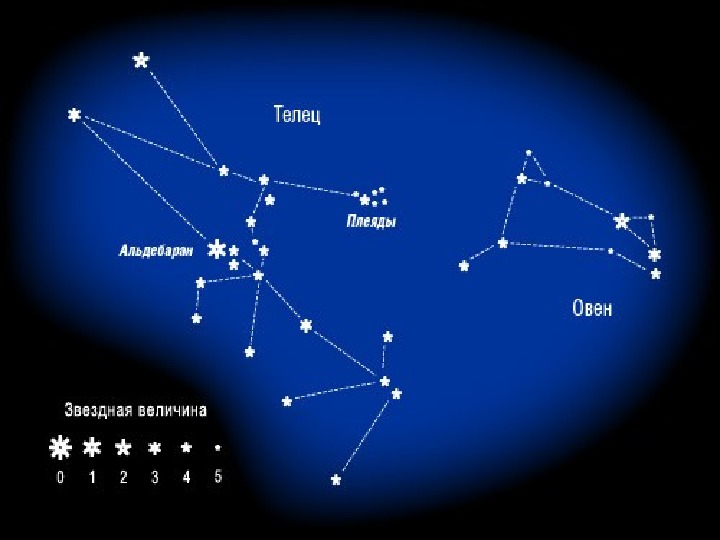 Созвездие плеяды схема