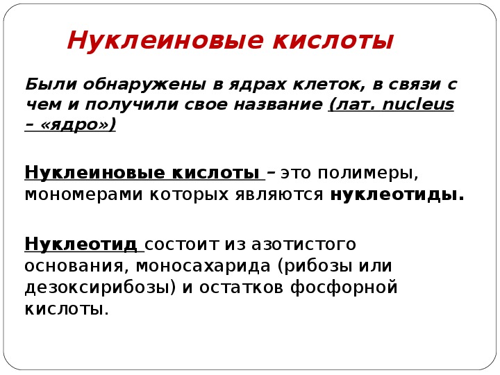 Биология нуклеиновые кислоты 9 класс презентация