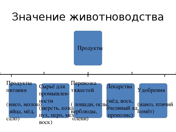 Значение животноводства. Народнохозяйственное значение животноводства. Функции животноводства. Важность животноводства.