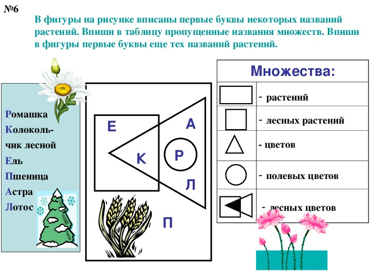 Вписать пропущенное названия. В фигуры на рисунке вписаны первые буквы некоторых названий растений. Впиши пропущенные названия множеств. Множество растений. Впиши названия растений в фигуры.