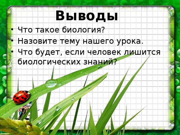 5 класс наука о живой природе презентация