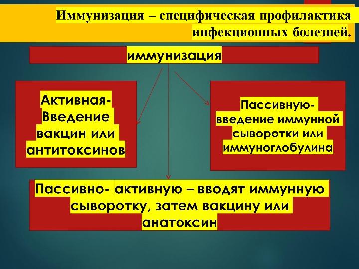 Основные инфекционные болезни их классификация обж