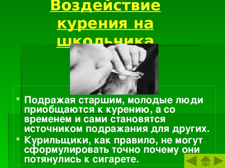 Влияние социальной среды на развитие и здоровье человека обж 6 класс презентация