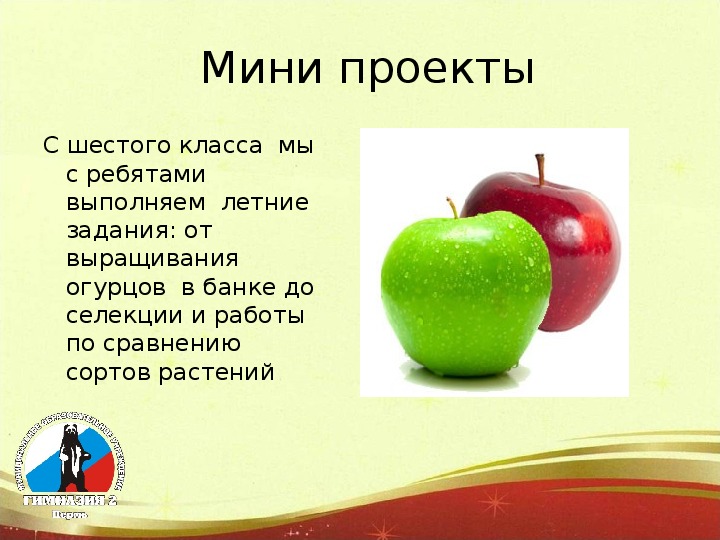 Мини проект на