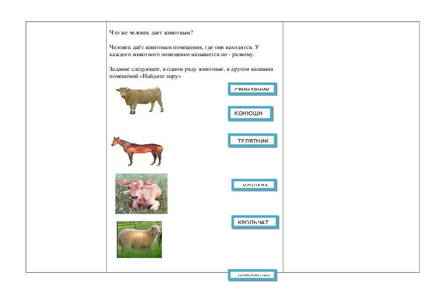 Окр мир животноводство тест. Животноводство задания. Задания по теме животноводство. Задания по окружающему миру 3 класс животноводство. Задания для детей на тему животноводство.