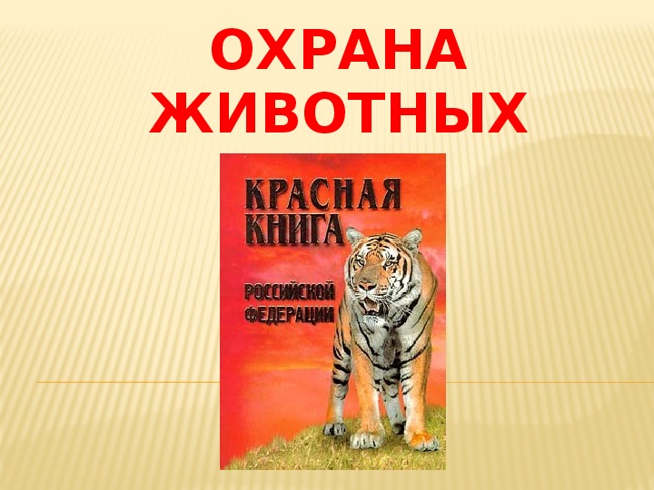 Презентация охраняемые животные россии