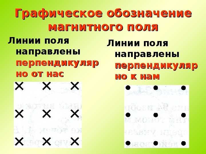 9 поли