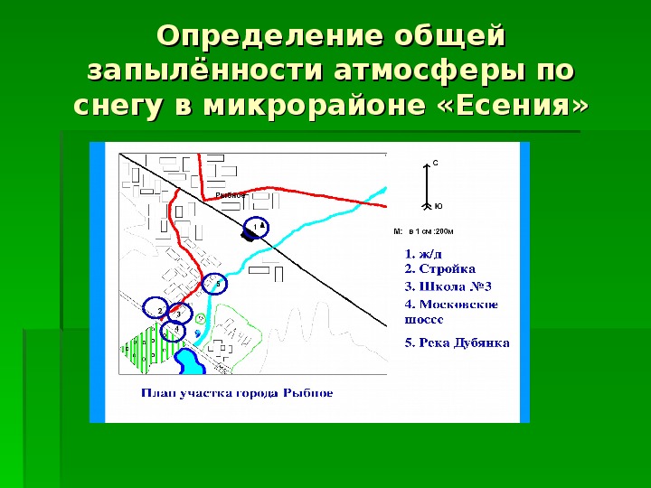 Зеленый наряд микрорайона «Есения»