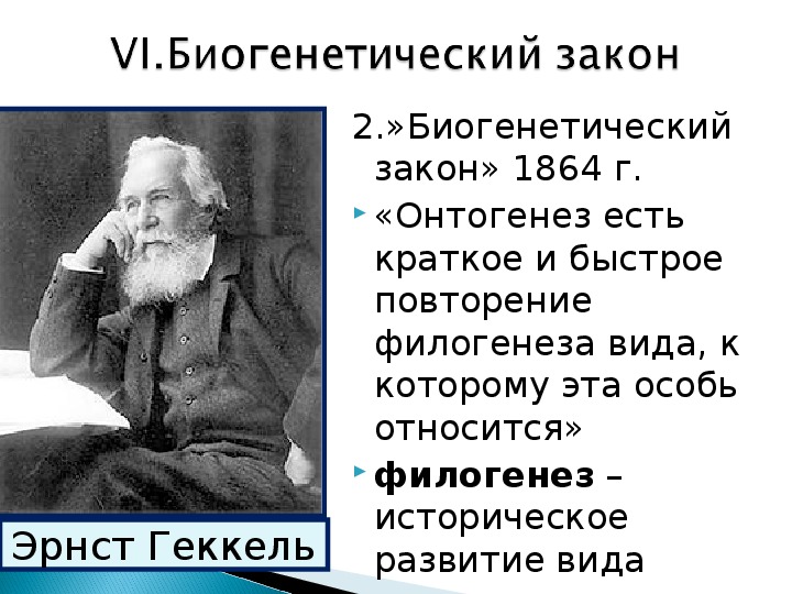 Биогенетический закон сформулировали. Закон Геккеля-Мюллера. Эрнст Геккель и Фриц Мюллер сформулировали. Биогенетический закон - ф. Мюллер (1864) и э. Геккель (1866). Эрнст Генрих Геккель биогенетический закон.