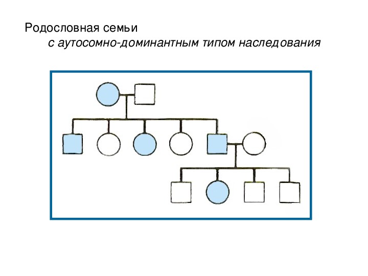 Задачи на составление родословной