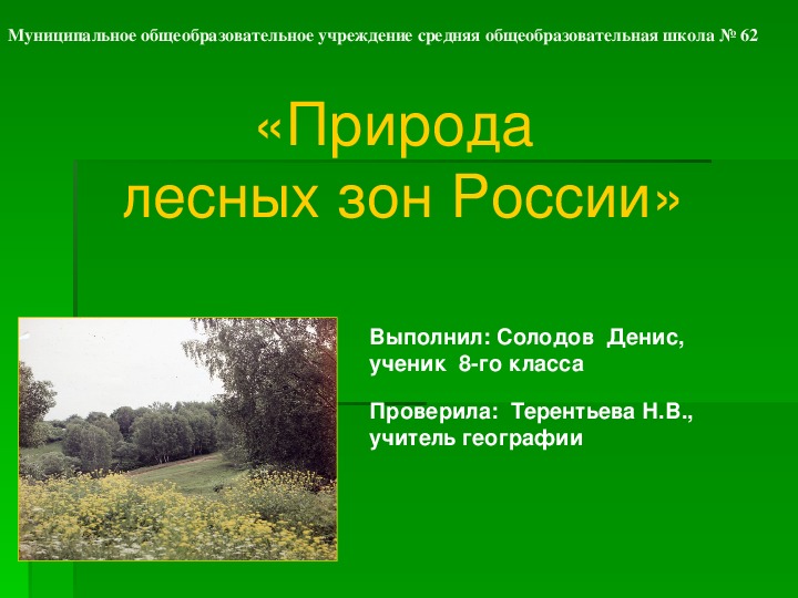 Презентация по географии на тему: "Природа лесных зон России", 8 класс