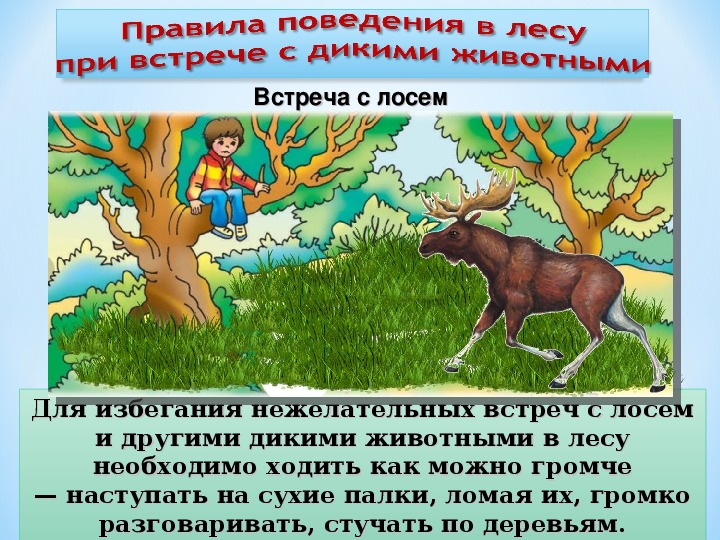 Дикие животные окр мир 2 класс. Правила поведения при встрече с дикими животными. Поведение при встрече с дикими животными. Правило поведения при встреча с дикими животными. Поведение при встрече с опасными животными.