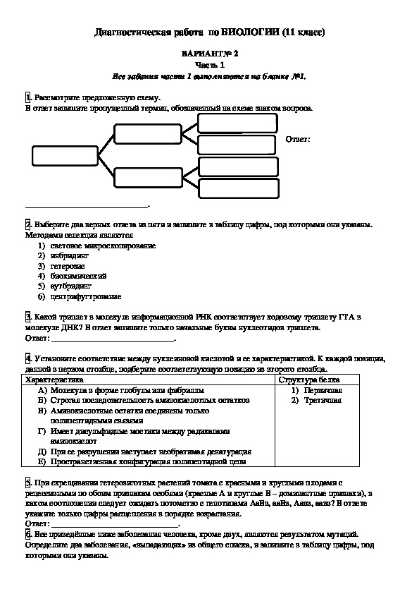 Диагностическая работа по биологии для 11 кл. (2 в.)