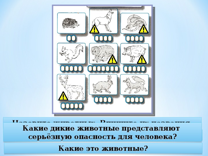 Правила поведения с дикими животными в картинках