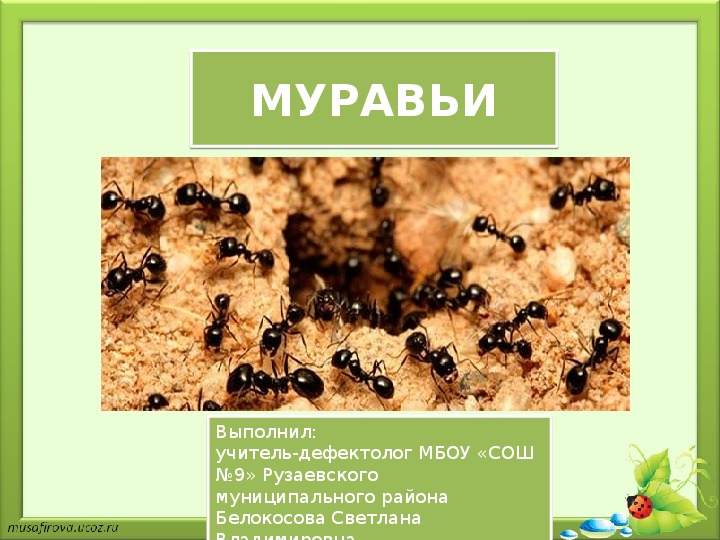 Работа должна быть в удовольствие картинка муравьи