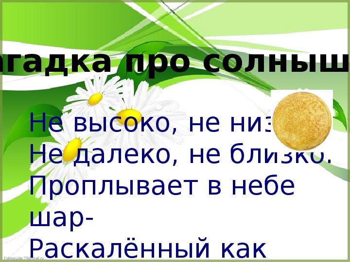 Загадки небылицы 1 класс школа россии презентация