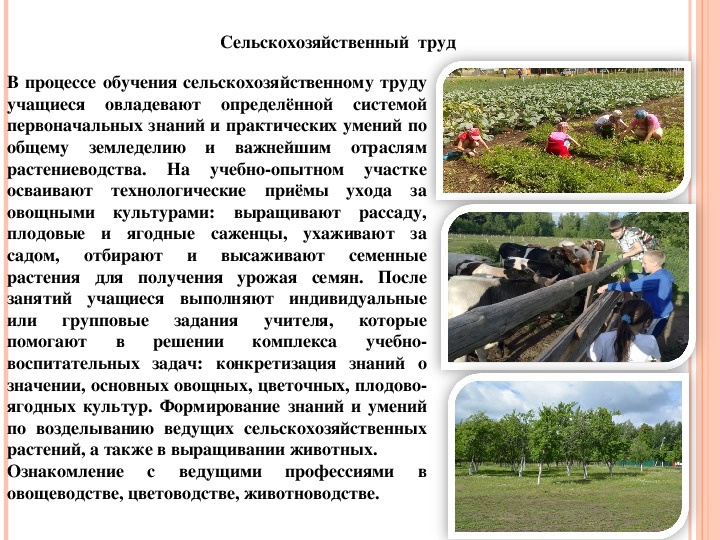 Труд в сельском хозяйстве. Разновидности сельскохозяйственного труда. Правила работы на сельхоз труде. Доклад труд в сельской местности. Проект по сельскохозяйственному труду.