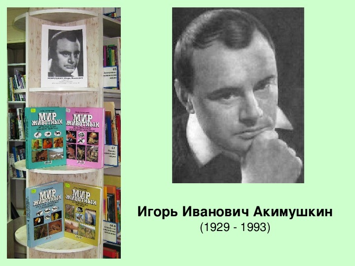 Презентация по литературному чтению "Биография и творчество И.И.Акимушкина"