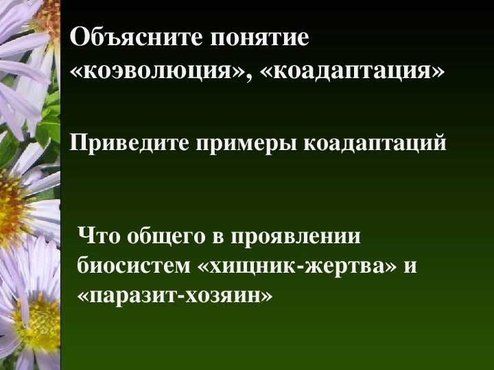 Презентации и видео для профильных классов